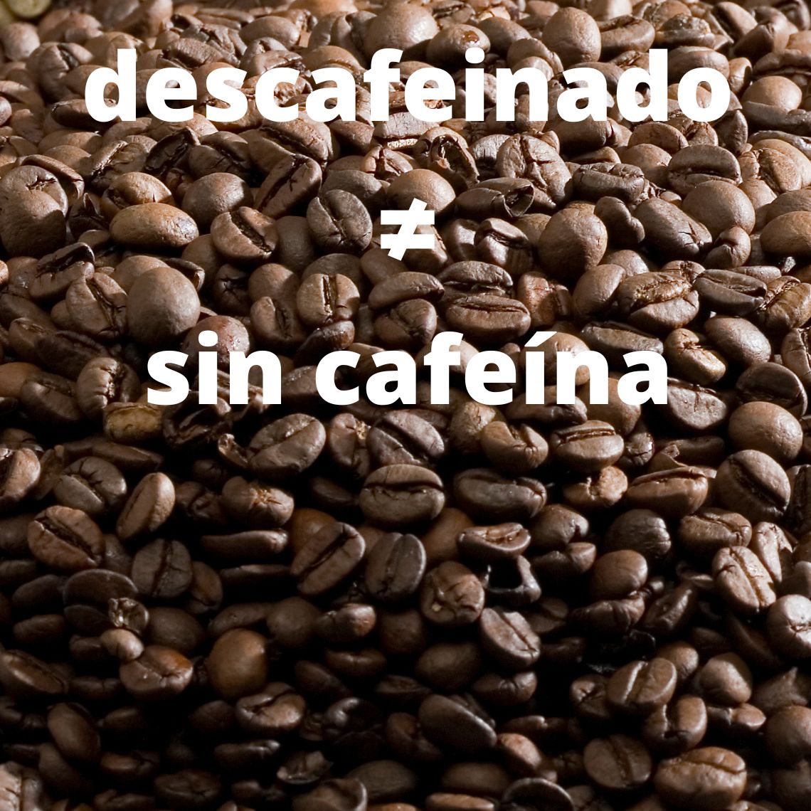 Café descafeinado o bebidas sin cafeína