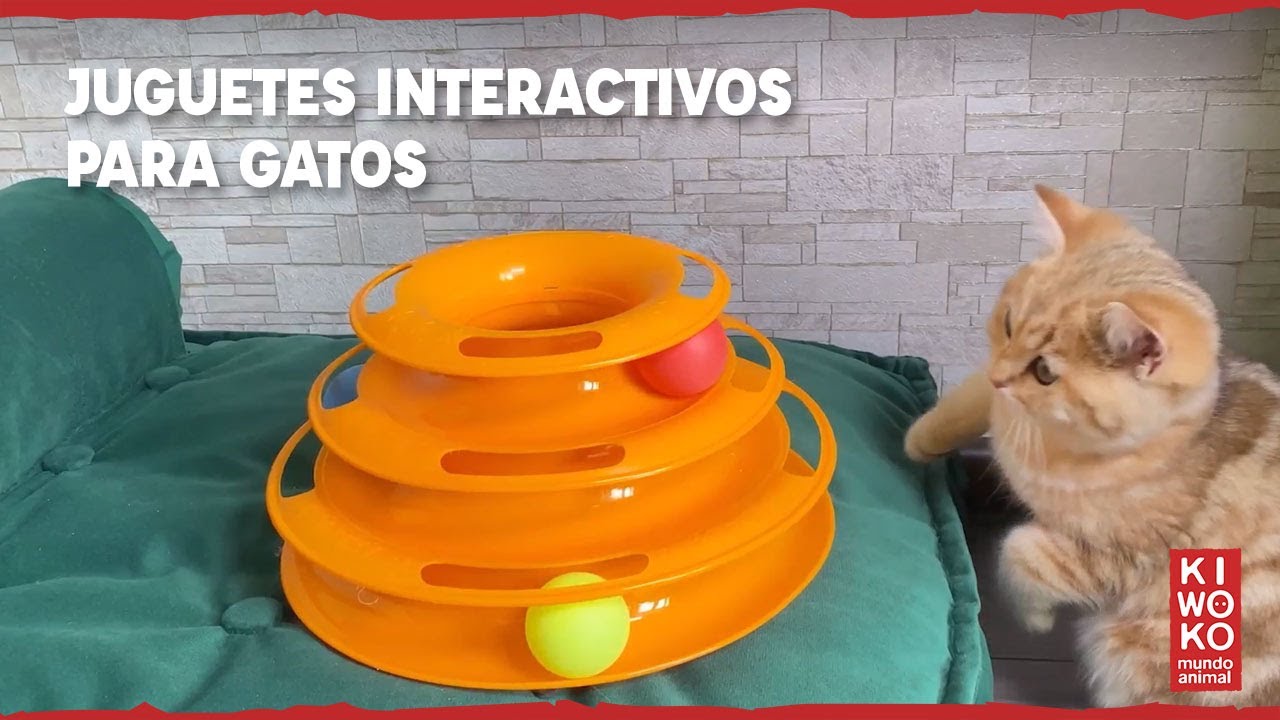 Juguetes interactivos para gatos